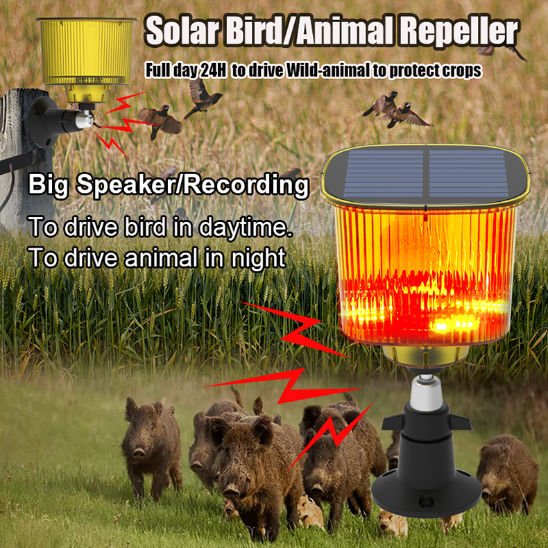 محول قوة الشبكة