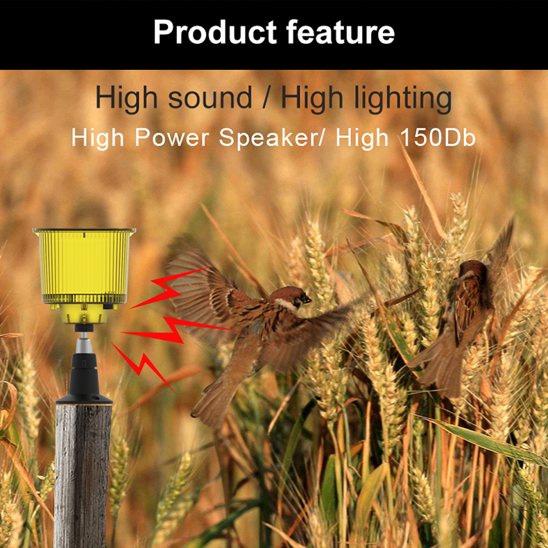 محول قوة الشبكة