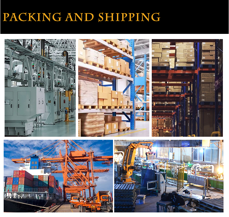 التعبئة والشيعة