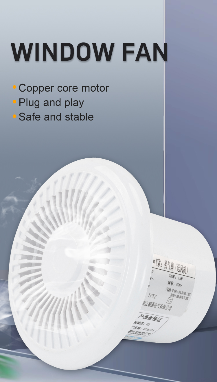STA100-F نافذة Window Window Window Window Window 