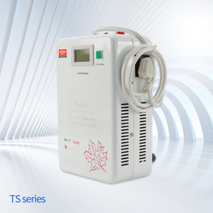 الشركة المصنعة Wholesales TS Series Interconversion Power Supply Voltage محول الطاقة